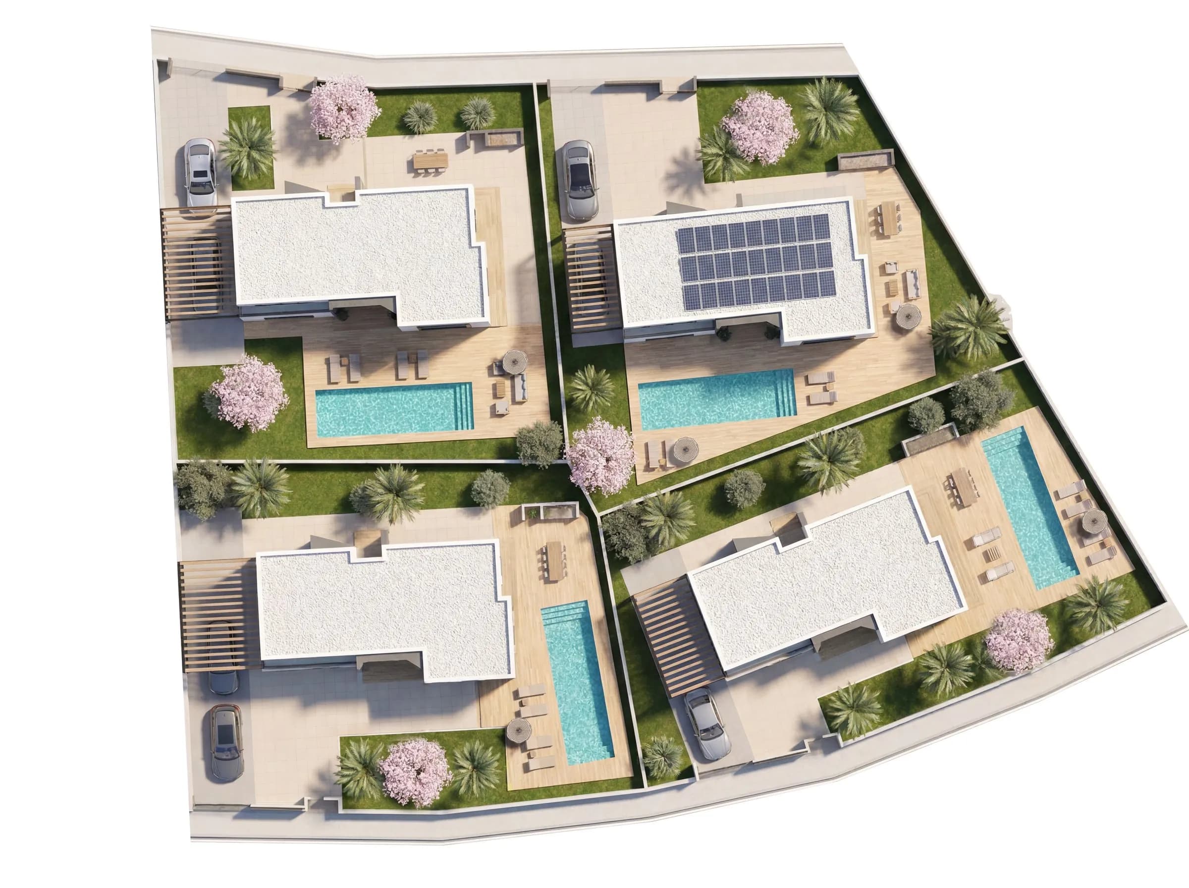 Masterplan of the four Sakura Garten villas, each with a private pool and garden